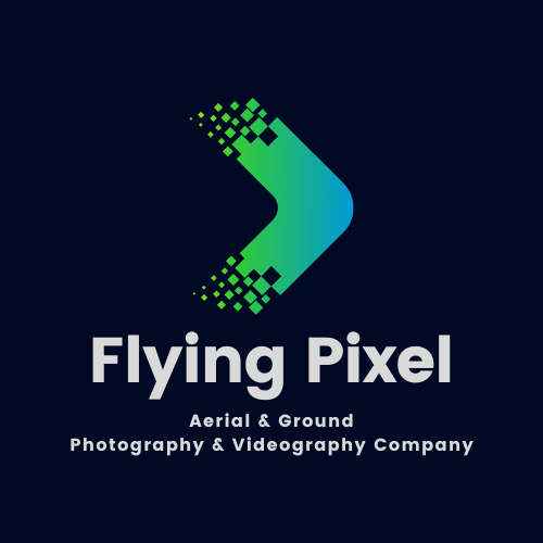 Flying Pixel logo